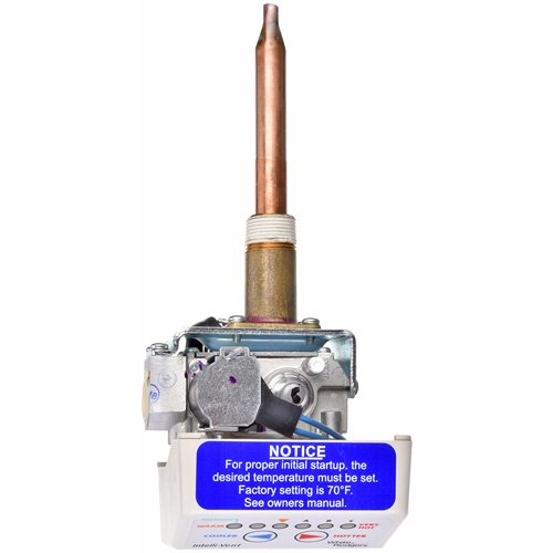 Rheem (G.E.) SP16351A Gas Control